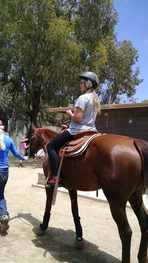 Rick Baer Training Stables