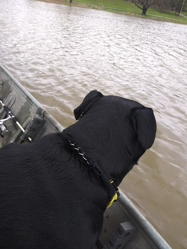 Pet Supply Store «Pet Supplies Plus», reviews and photos, 1676 E Summit St, Crown Point, IN 46307, USA