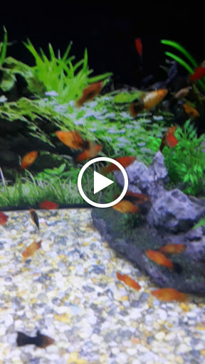 Pet Supply Store «Petco Animal Supplies», reviews and photos, 2140 E Blvd St, Kokomo, IN 46902, USA