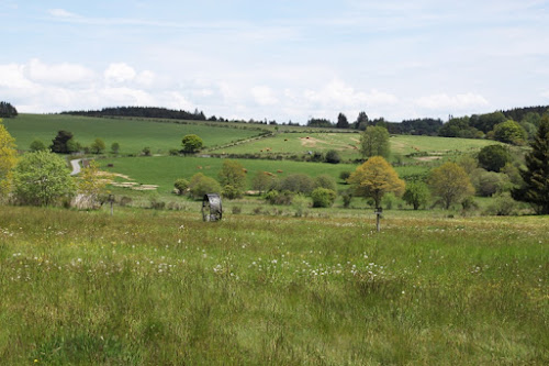 Parc naturel régional de Millevaches en Limousin à Millevaches