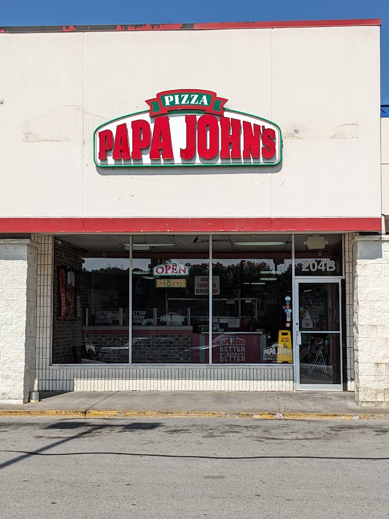Papa Johns Pizza 63401