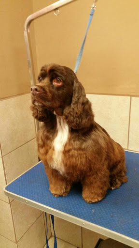 Pet Supply Store «McFaith Feed & Pet Supplies», reviews and photos, 4702 Paris Ave, New Orleans, LA 70122, USA