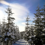 Photo n°1 de l'avis de Mike.. fait le 19/02/2018 à 05:58 sur le  Kahler Asten Berghotel & Restaurants à Winterberg