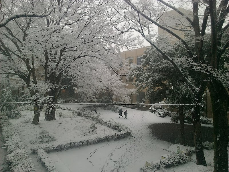 武蔵大学 江古田キャンパス 東京都練馬区豊玉上 私立大学 大学 グルコミ