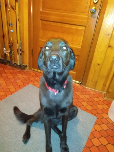 Recreation Center «North Dale Recreation Center», reviews and photos, 1414 St Albans St N, St Paul, MN 55117, USA