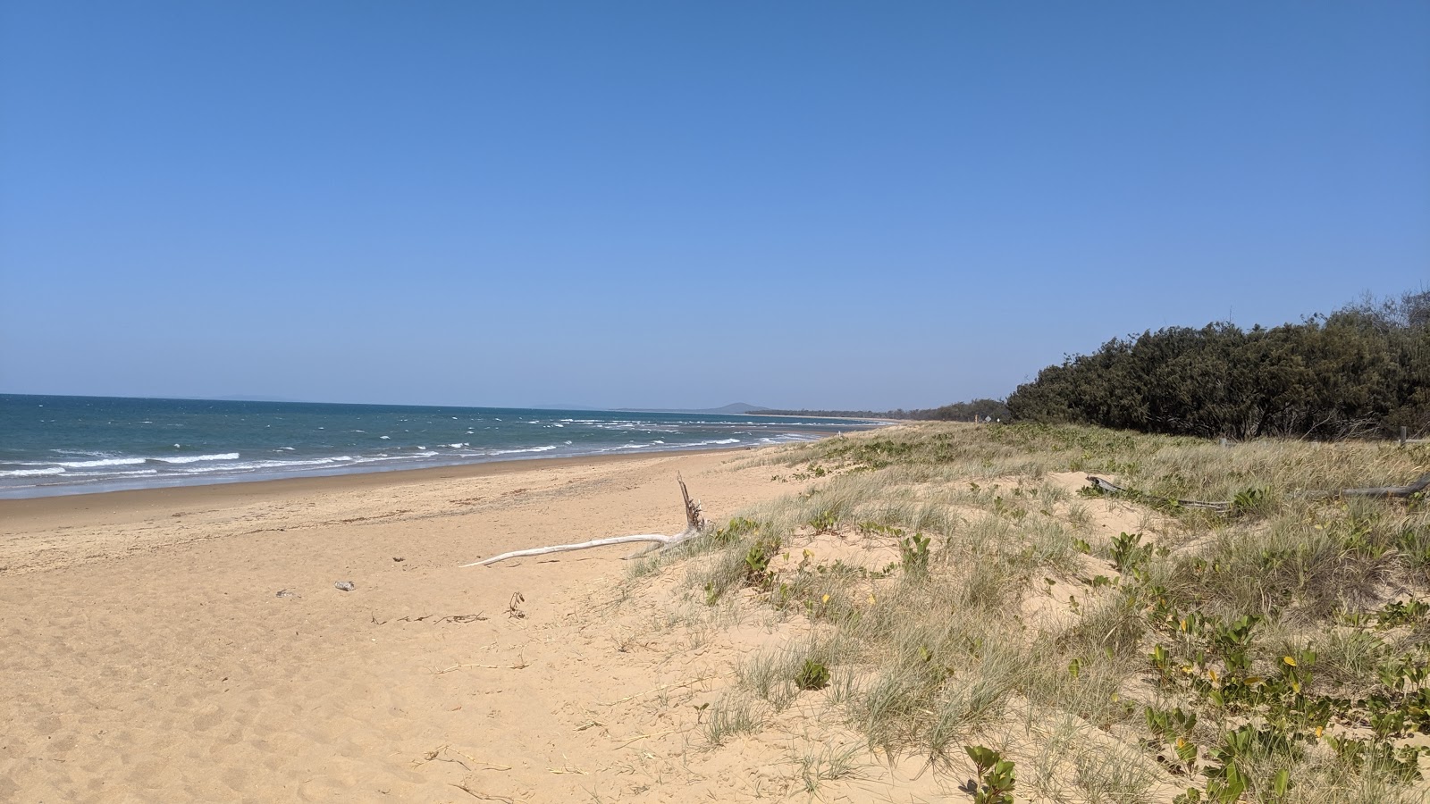 Foto av Wild Cattle Beach med beige sand yta