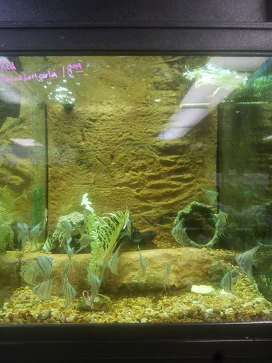Pet Store «WorldWide Fish & Pets», reviews and photos, 61 Amity Rd, New Haven, CT 06515, USA