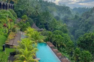 Muncan Bali Jungle Club image