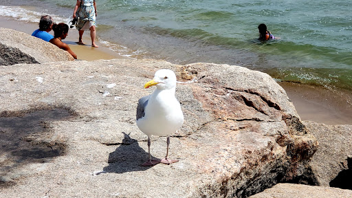 Theme Park «Atlantic Beach Park», reviews and photos, 321 Atlantic Ave, Westerly, RI 02891, USA
