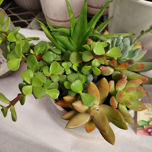 Home Improvement Store «The Home Depot», reviews and photos, W 12871 I-10, San Antonio, TX 78249, USA