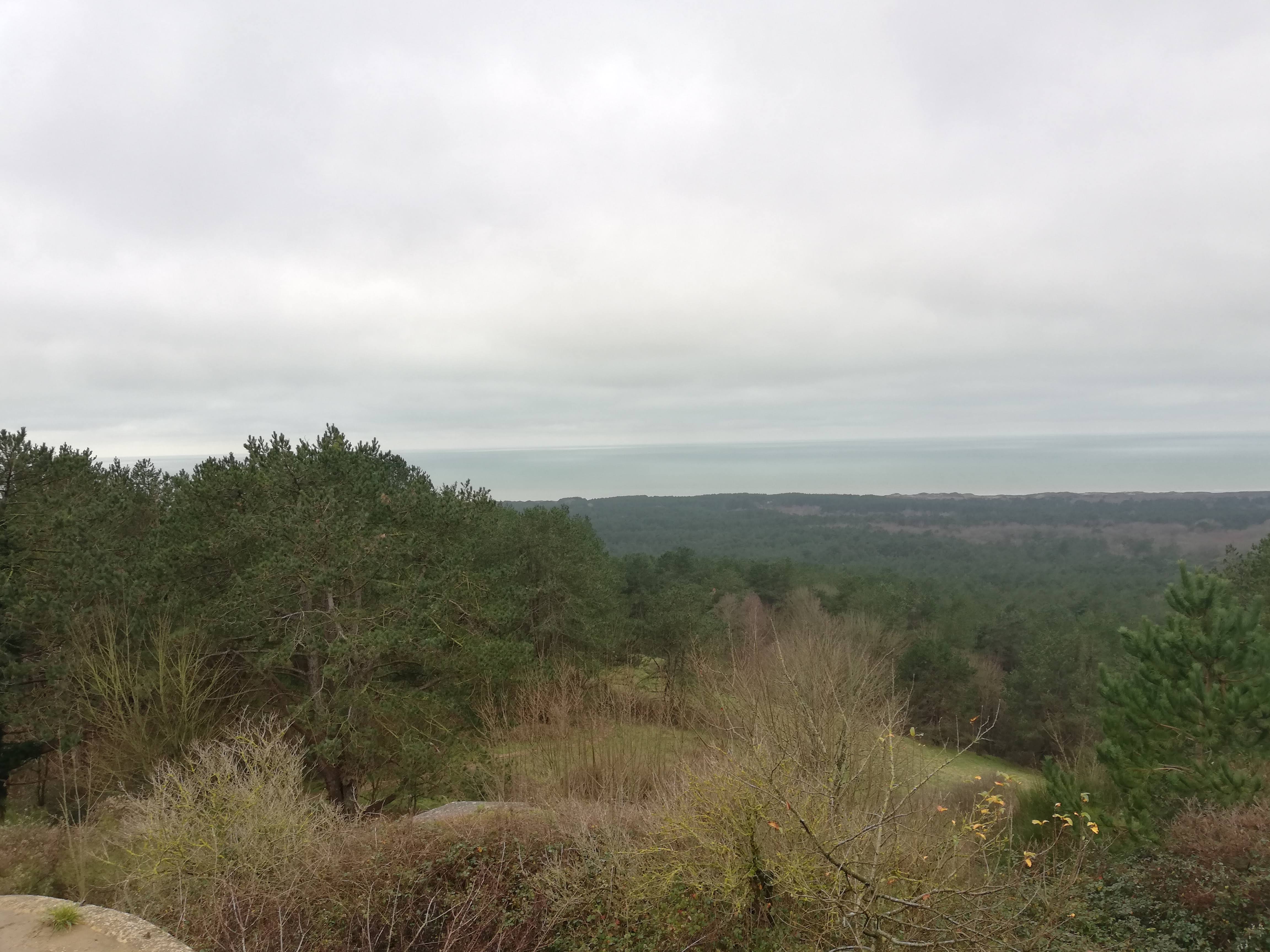 Photo n° 6 de l'avis de Vince.e fait le 12/01/2021 à 11:33