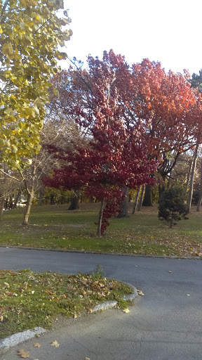 Park «Claremont Park», reviews and photos, Clay Ave & E. 170 St, Bronx, NY 10457, USA