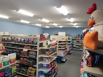 Stayton Animal Supply - Photo 6 - Car repair in Stayton, OR, Salem