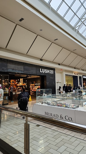 Cosmetics Store «LUSH», reviews and photos, 1961 Chain Bridge Rd, McLean, VA 22102, USA