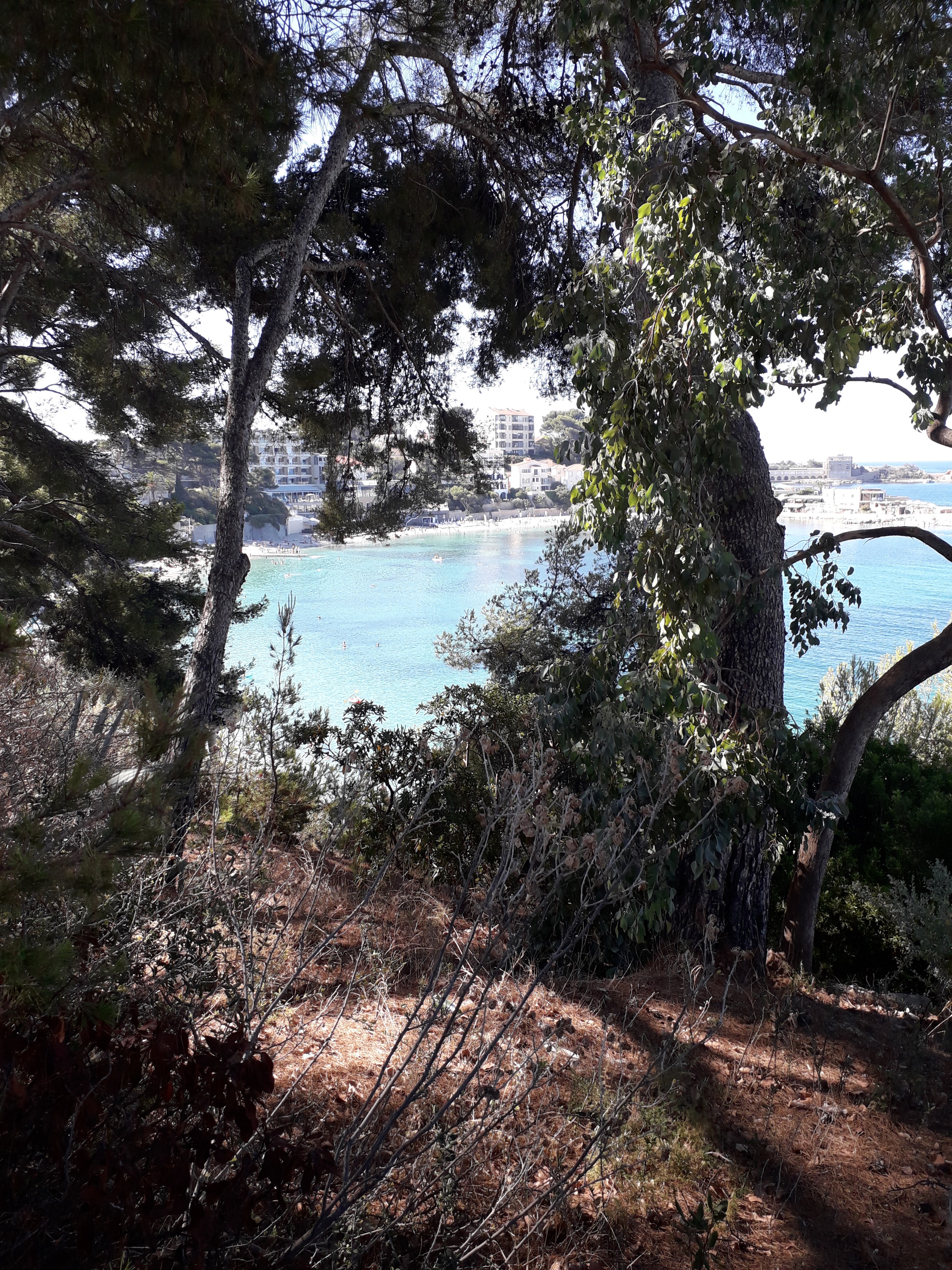 Photo n° 2 de l'avis de Franceline.e fait le 09/08/2021 à 18:53