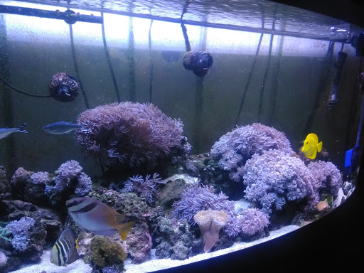 Used Auto Parts Store «Arite Used Auto Parts», reviews and photos, 116 Christian Ln, New Britain, CT 06051, USA