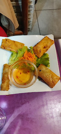 Rouleau de printemps du Restaurant vietnamien Tai Thu à Lyon - n°3