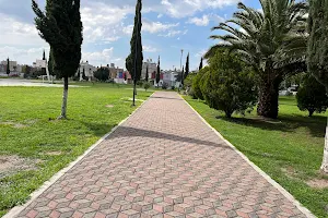Gladiolas Park image