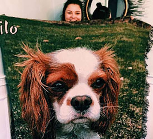 Gift Shop «The Memories Place», reviews and photos, 148 Westville Dr, Conway, SC 29526, USA