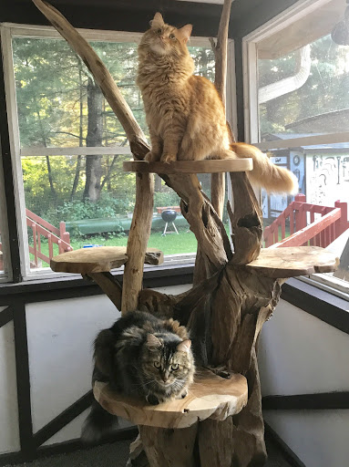 Rustic Furniture Store «E Z Mountain Rustic Furniture», reviews and photos, 580 PA-940, Pocono Lake, PA 18347, USA