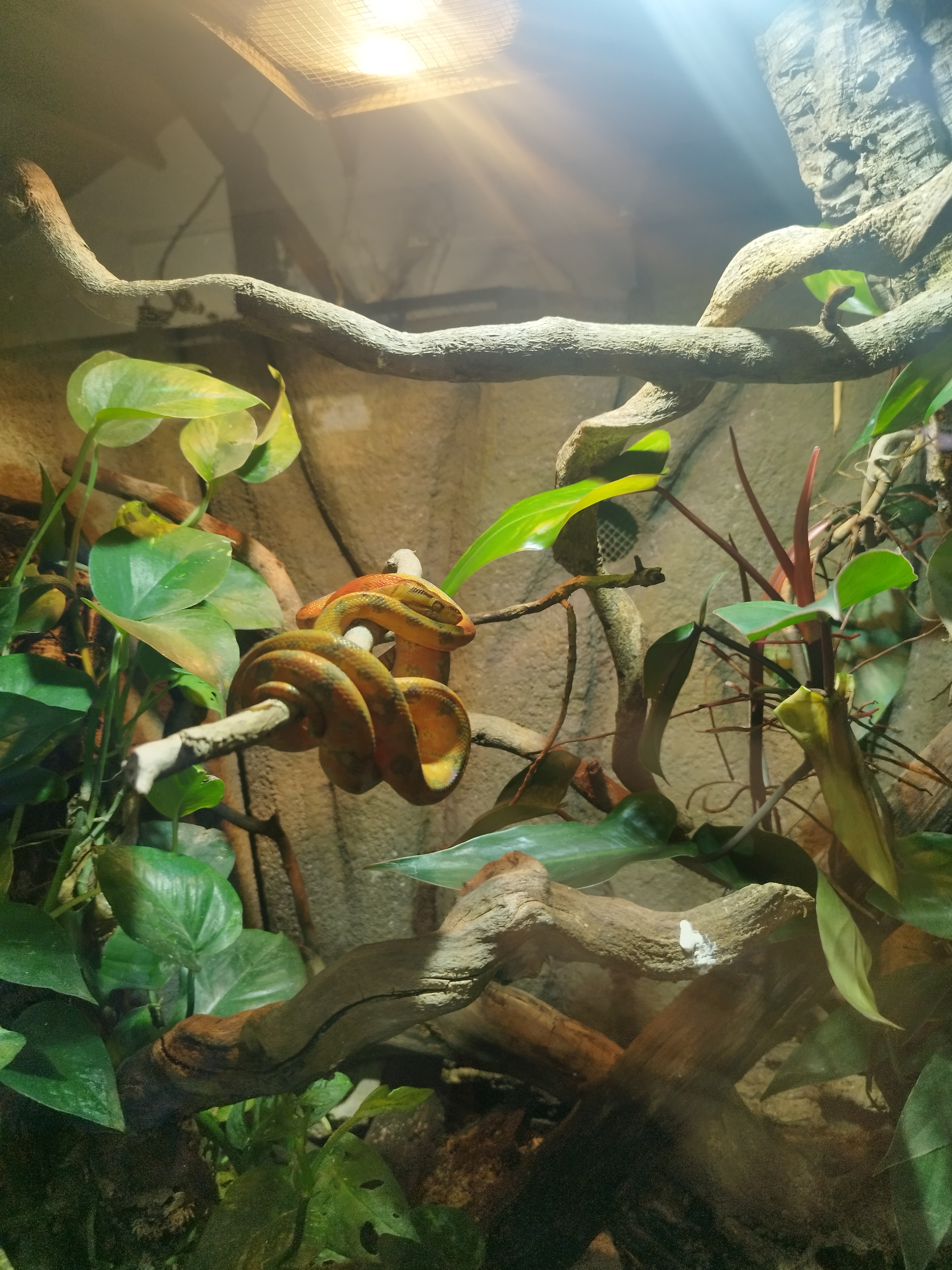 Photo n° 2 de l'avis de aurélien.e fait le 26/06/2023 à 19:06