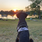 Photo n°2 de l'avis de Benny.i fait le 01/07/2020 à 19:05 sur le  Seecamp am Oderbruch / Naturcampingplatz / Wohnwagenvermietung à Zeschdorf