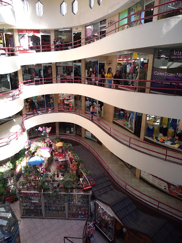 Opiniones de Centro Mercado Modelo en Temuco - Centro comercial