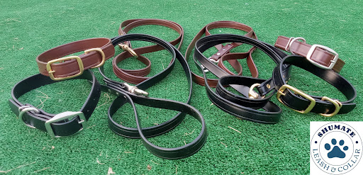 Shumate Leash and Collar