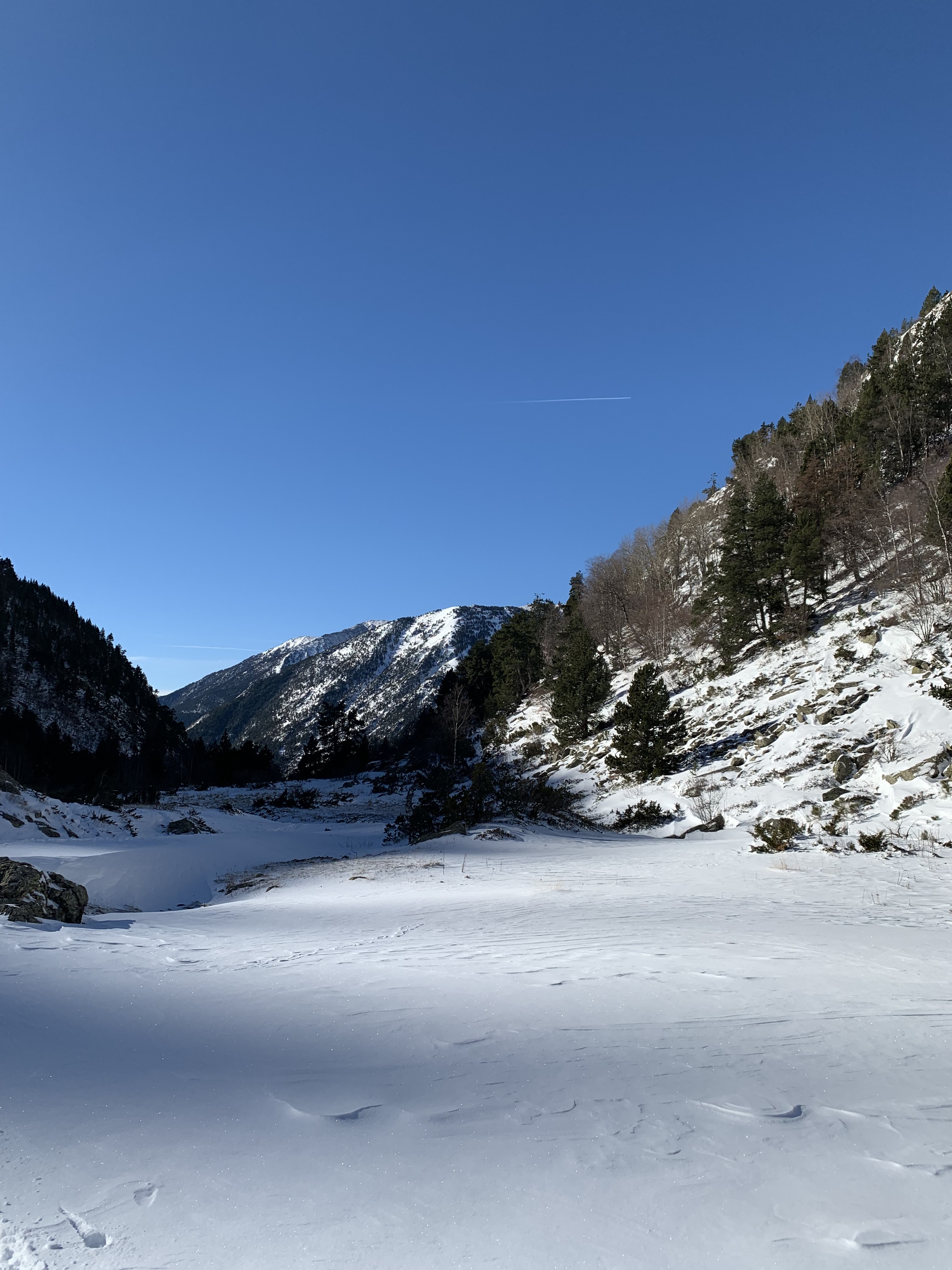 Photo n° 1 de l'avis de Valérie.s fait le 14/01/2024 à 13:02