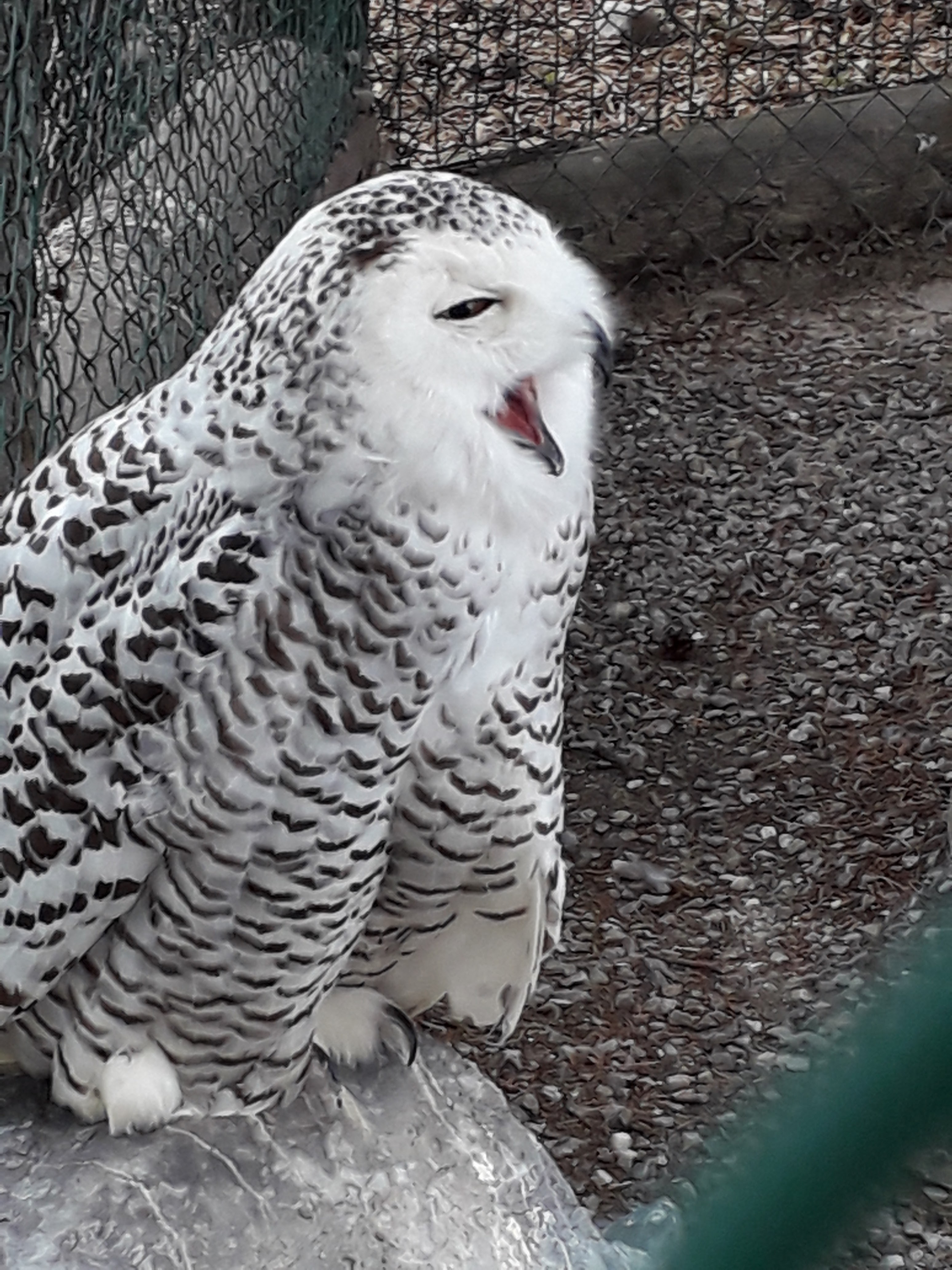 Photo n° 1 de l'avis de Freddy.E fait le 13/07/2021 à 19:58