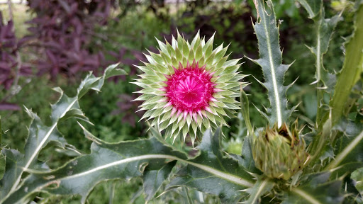 Park «Valley Water Mill Park», reviews and photos, 2450 E Valley Water Mill Rd, Springfield, MO 65803, USA