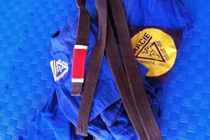 Gracie Jiu-Jitsu San Salvador image