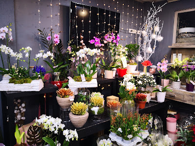 Eden Fleurs à Le Blanc-Mesnil