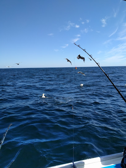 Macneill's Tuna and Deep-Sea Fishing Charters