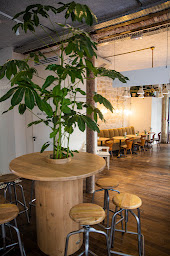 Photo n°18 de Wild & The Moon - Amelot - Restaurant vegan à Paris à Paris ()
