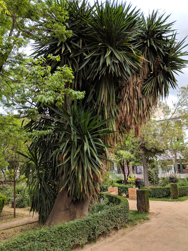 Botanical Garden of the University of Granada