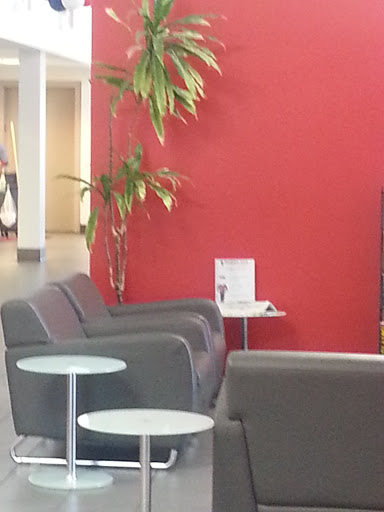 Kia Dealer «Rodeo Kia», reviews and photos, 10685 Papago Fwy, Avondale, AZ 85323, USA