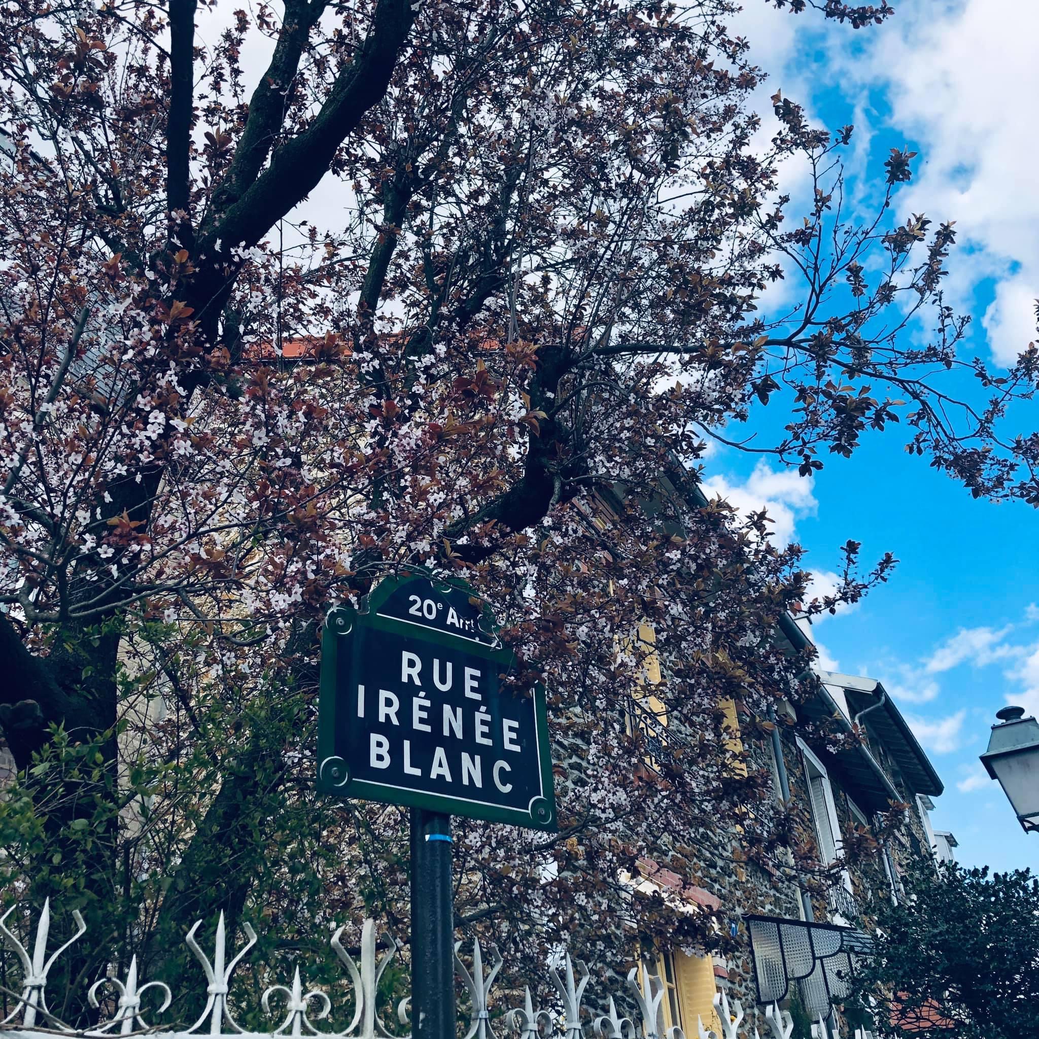 Photo n° 4 de l'avis de Halim.o fait le 27/12/2020 à 21:50