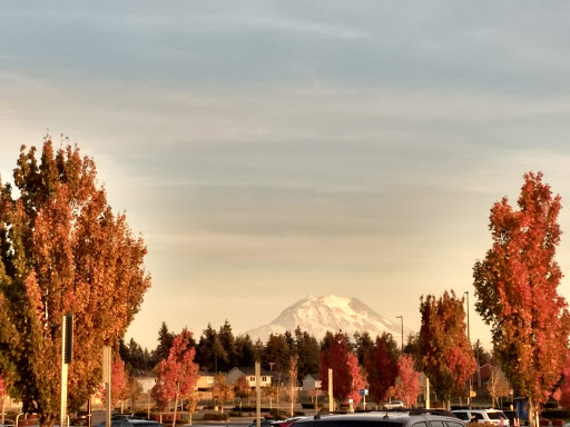 Department Store «Walmart Supercenter», reviews and photos, 20307 Mountain Hwy E, Spanaway, WA 98387, USA