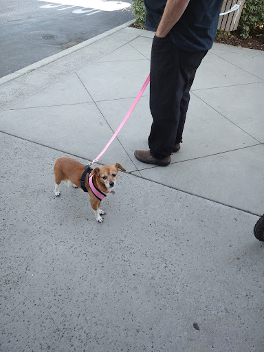 Pet Supply Store «Pet Food Express», reviews and photos, 5829 Lone Tree Way, Antioch, CA 94531, USA