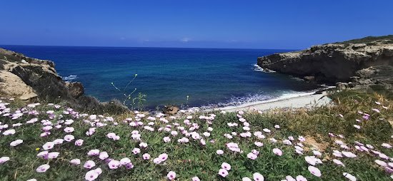 Frido Beach