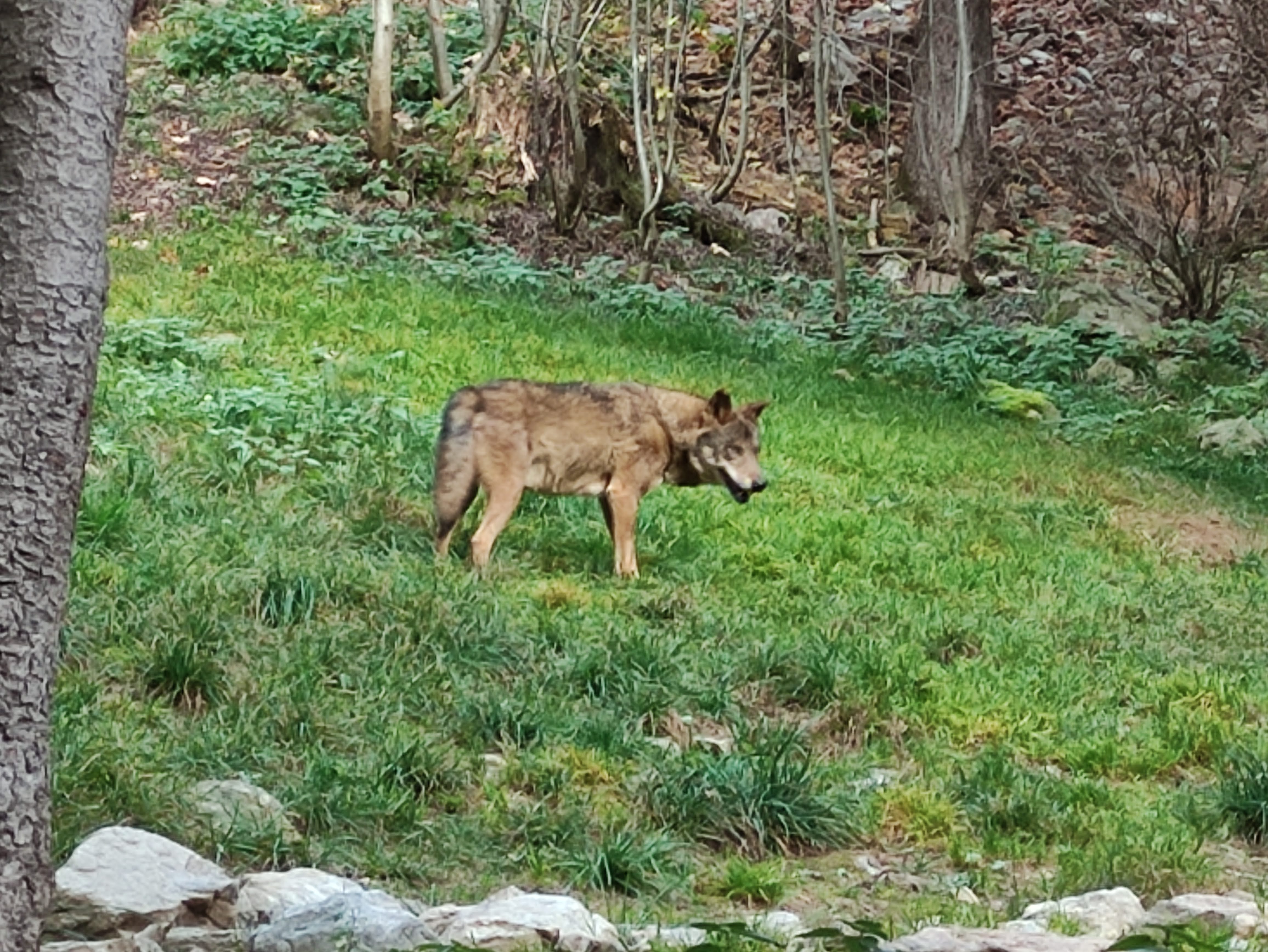 Photo n° 3 de l'avis de Alexandre.A fait le 17/11/2022 à 20:58
