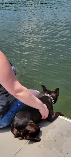 State Park «Taylorsville Lake State Park», reviews and photos, 1320 Park Rd, Mt Eden, KY 40046, USA