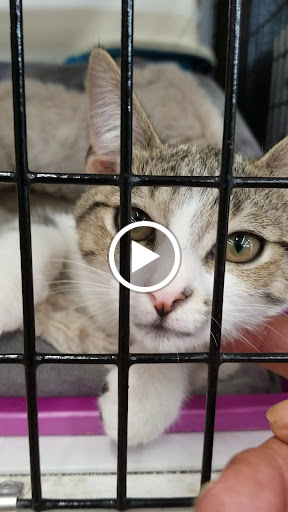 Pet Store «Pet Supermarket, Inc.», reviews and photos, 2446 N University Dr, Coral Springs, FL 33065, USA