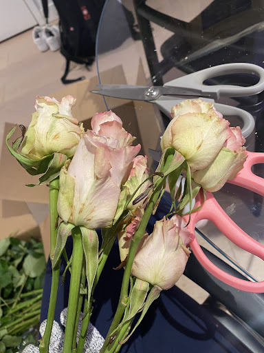 Wholesale Florist «Pennock Floral Tri - State Co», reviews and photos, 7135 Colonial Ln, Pennsauken Township, NJ 08109, USA