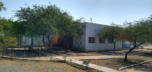 Centro Regional De Desarrollo Infantil Y Estimulacion Temprana (CEREDI)