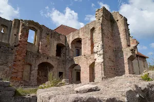 Castle Pecka image