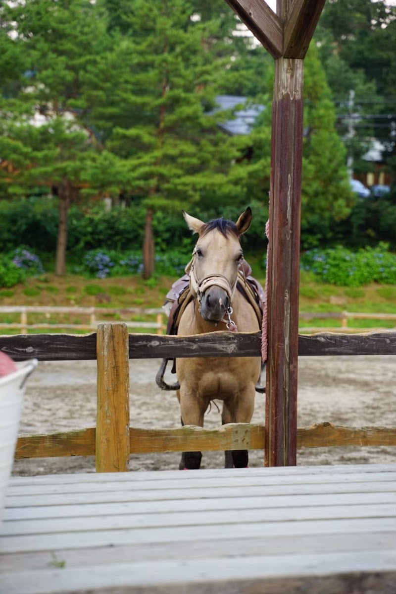 ｎ ａ ｏ 明野高原キャンプ場 Cottage 岐阜県郡上市高鷲町鮎立 キャンプ場 コテージ キャンプ場 グルコミ