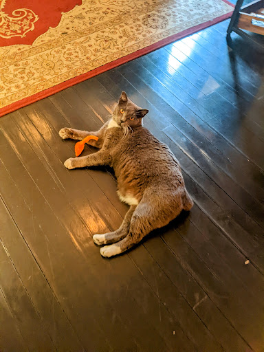 Tattoo Shop «Seventh Seal Tattoo», reviews and photos, 921 Jenks Ave, Panama City, FL 32401, USA