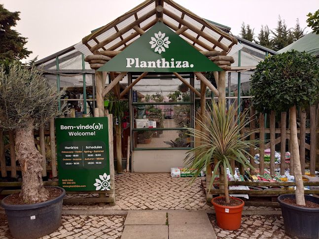 Planthiza Cascais